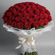 Букет 101 Красная роза Блэк Мэджик в Абраме-Тюбе