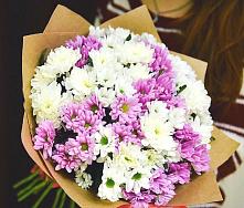 Букет цветов из:  Хризантемы #REPLACE_PRED# Абраме-Тюбе