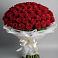 Букет 101 Красная роза Блэк Мэджик в Абраме-Тюбе