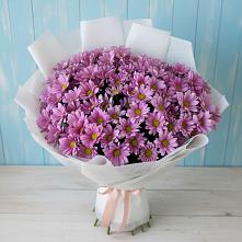 Букет цветов из:  Хризантемы в Абраме-Тюбе