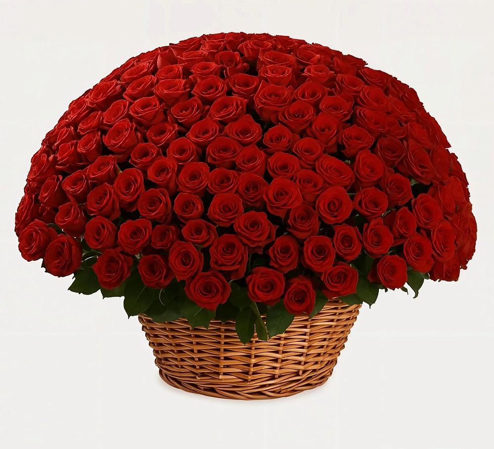 Премиум букет из: Розы в Абраме-Тюбе