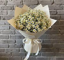 Букет цветов из:  Ромашки #REPLACE_PRED# Абраме-Тюбе
