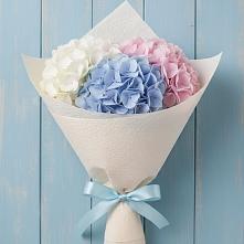 Букет цветов из:  Гортензия в Абраме-Тюбе