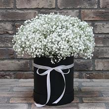 Цветочная композиция из Гипсофила в шляпной коробке в Абраме-Тюбе