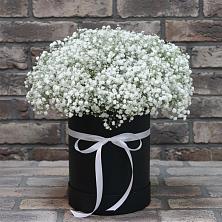 Цветочная композиция из Гипсофила в шляпной коробке в Абраме-Тюбе