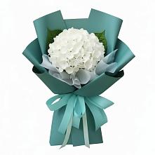 Букет цветов из:  Гортензия #REPLACE_PRED# Абраме-Тюбе